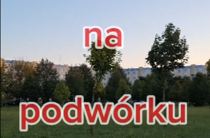 Lato na podwórku