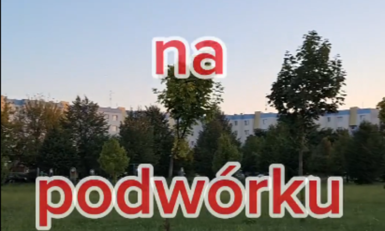 Lato na podwórku